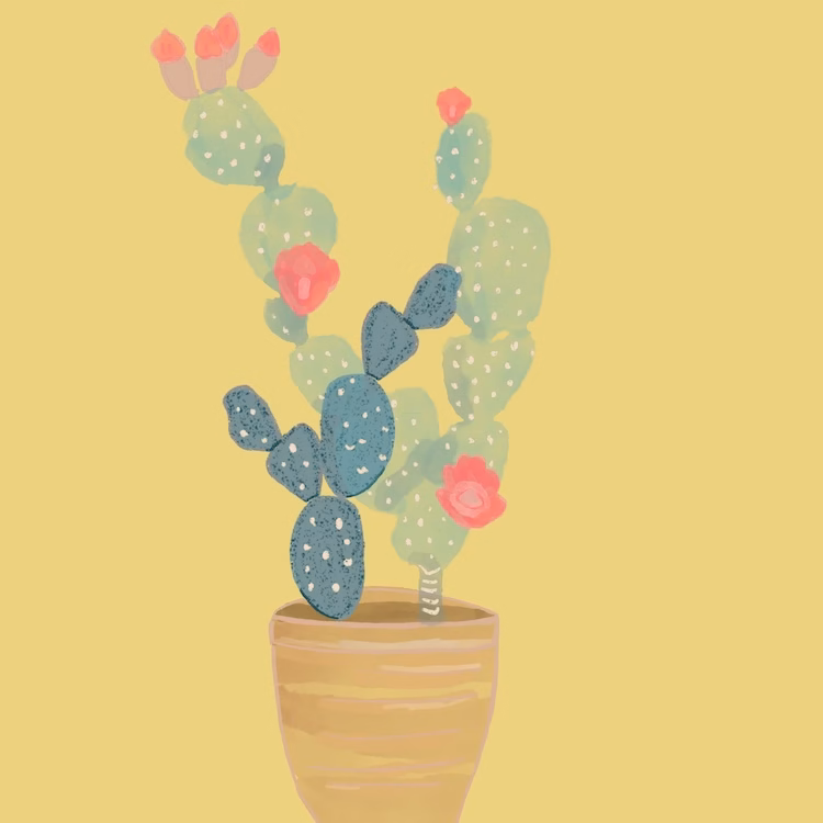 a beginner surface pattern designer's daily drawings showing an emerging signature style