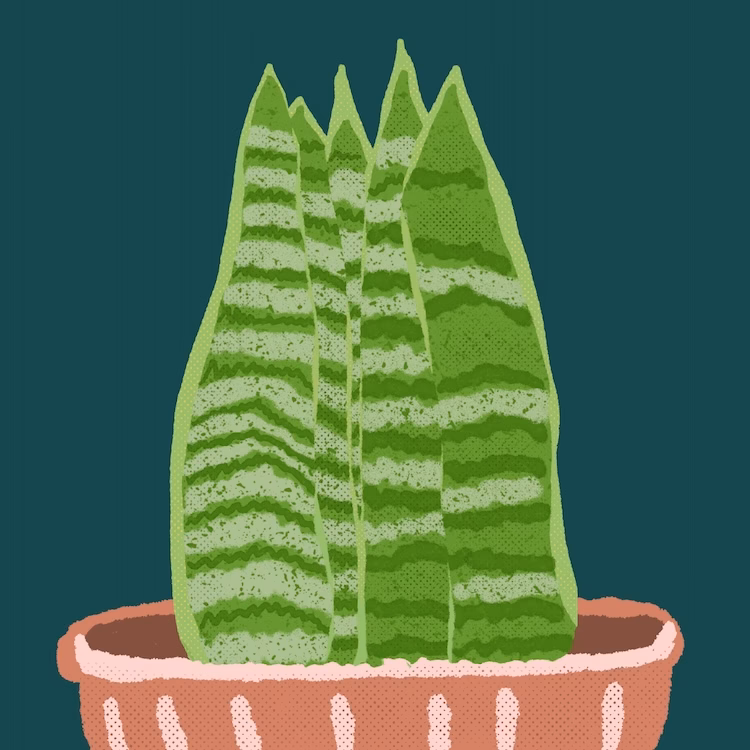 a beginner surface pattern designer's daily drawings showing an emerging signature style
