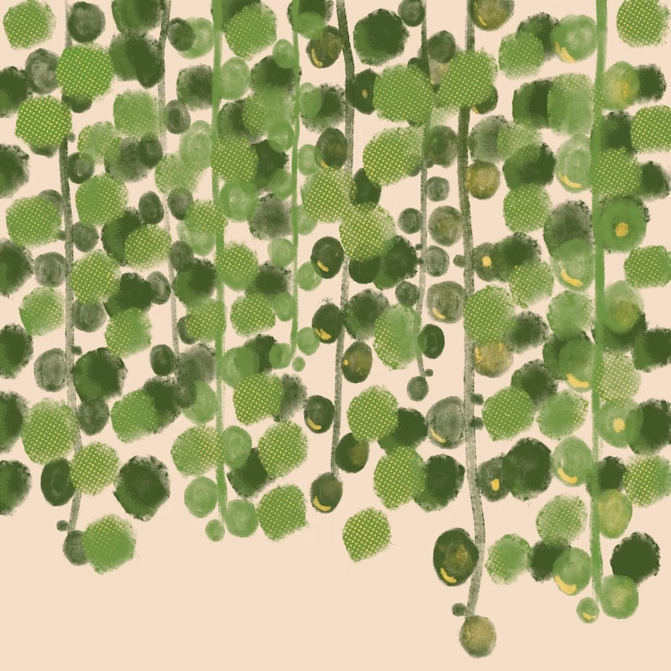 a beginner surface pattern designer's daily drawings showing an emerging signature style