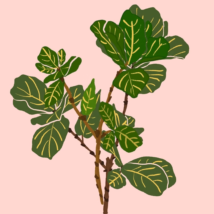 a beginner surface pattern designer's daily drawings showing an emerging signature style